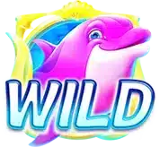 WILD DolphinDive